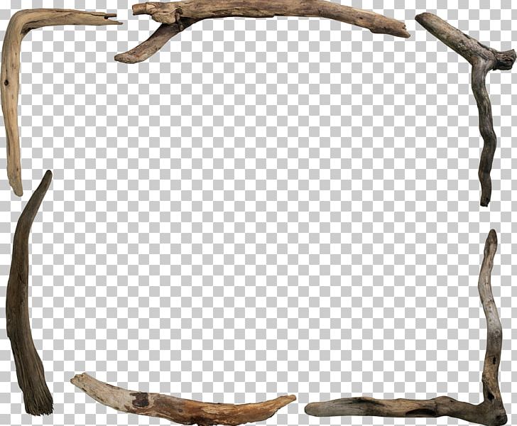 Fotosearch Wood Photography Frames PNG, Clipart, Antler, Branch, Driftwood, Film Frame, Footage Free PNG Download