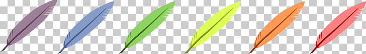 Parrot Bird Feather PNG, Clipart, Angle, Animals, Bird, Clip Art, Closeup Free PNG Download