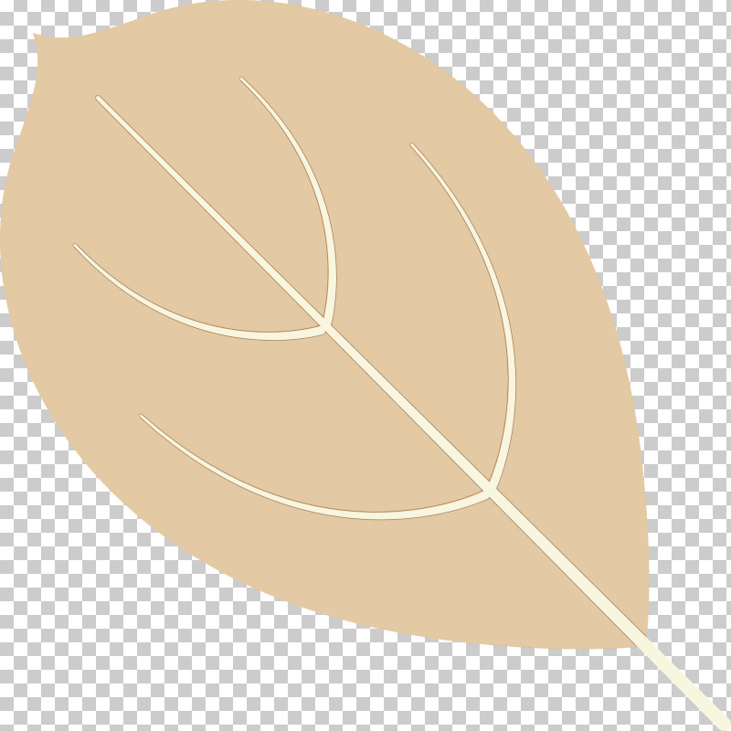 Leaf Angle Line Biology Plant Structure PNG, Clipart, Angle, Autumn Color, Autumn Leaf, Biology, Leaf Free PNG Download