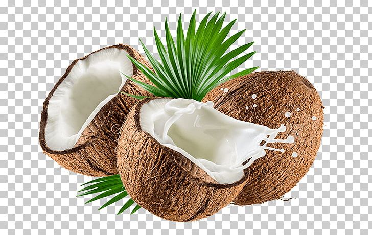 Coconut Milk Powder Organic Food Coconut Water PNG, Clipart, Coconut, Coconut Milk, Coconut Milk Powder, Coconut Oil, Coconut Water Free PNG Download