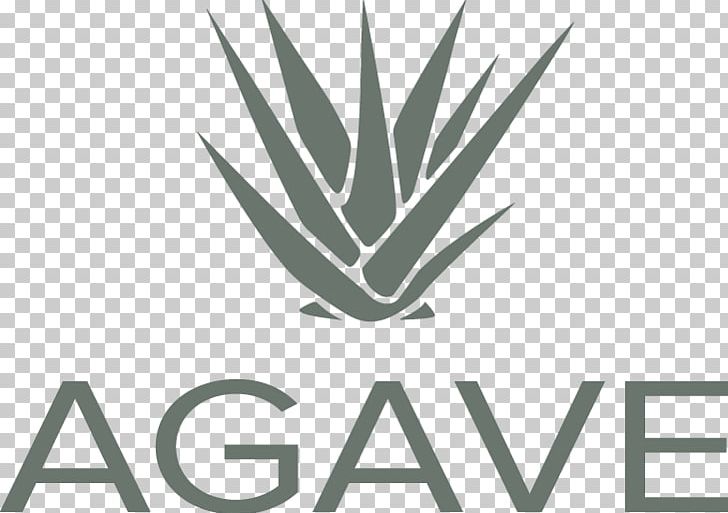 Design Imerovigli Logo Hotel Apache Trafodion PNG, Clipart, Angle, Apache Software Foundation, Apache Trafodion, Art, Brand Free PNG Download