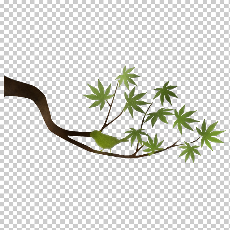 Maple Branch Maple Leaves Maple Tree PNG, Clipart, Branch, Flower, Herb, Herbal, Leaf Free PNG Download