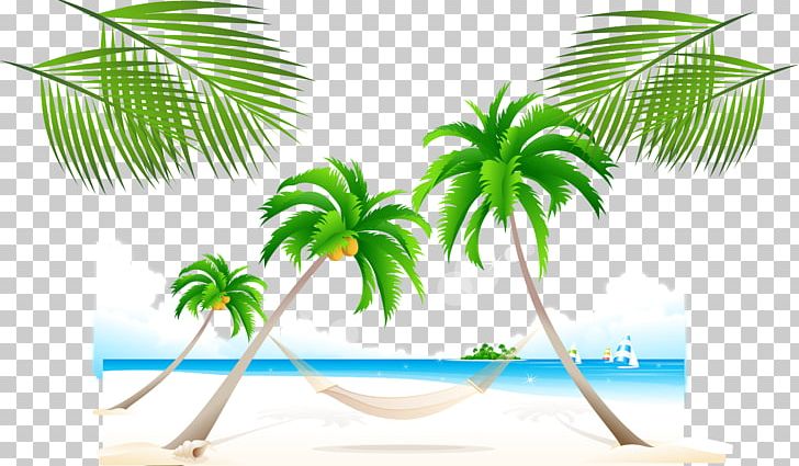 Beach Photography PNG, Clipart, Arecaceae, Arecales, Background Vector, Beach Vector, Family Tree Free PNG Download