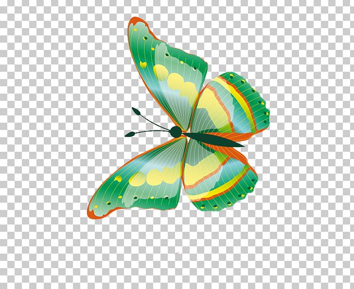 Butterfly Net Moth Graphic Design PNG, Clipart, Art, Butterfly, Butterfly Net, Color, Designer Free PNG Download