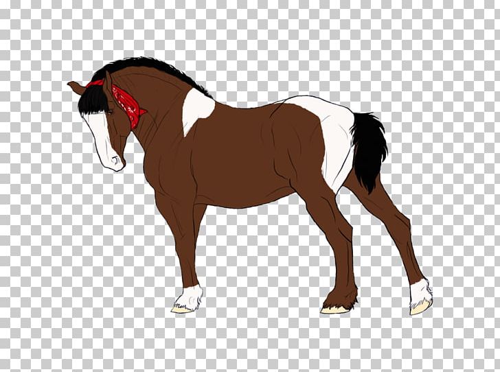Mane Mustang Stallion Foal Pony PNG, Clipart, Bit, Bridle, Colt, English Riding, Equestrian Sport Free PNG Download