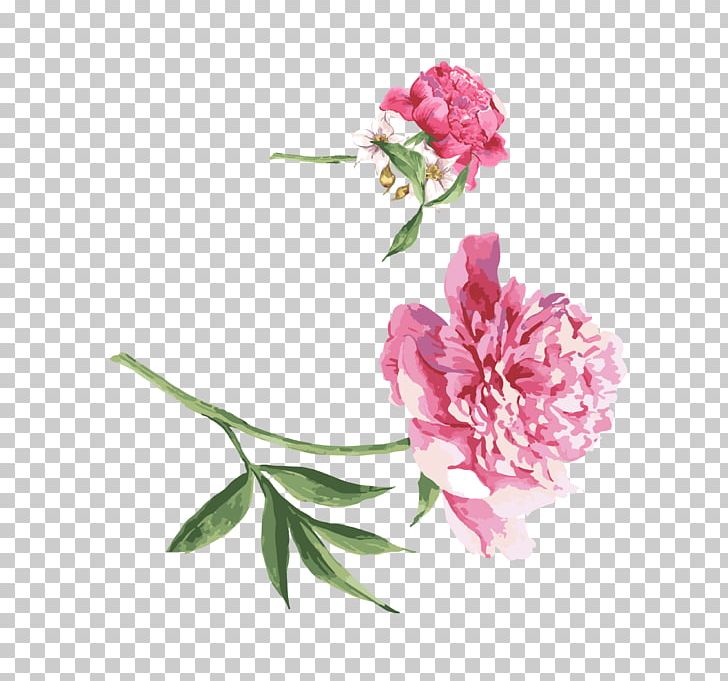 Moutan Peony Watercolor Painting PNG, Clipart, Beautiful, China, Cut Flowers, Dahlia, Flora Free PNG Download