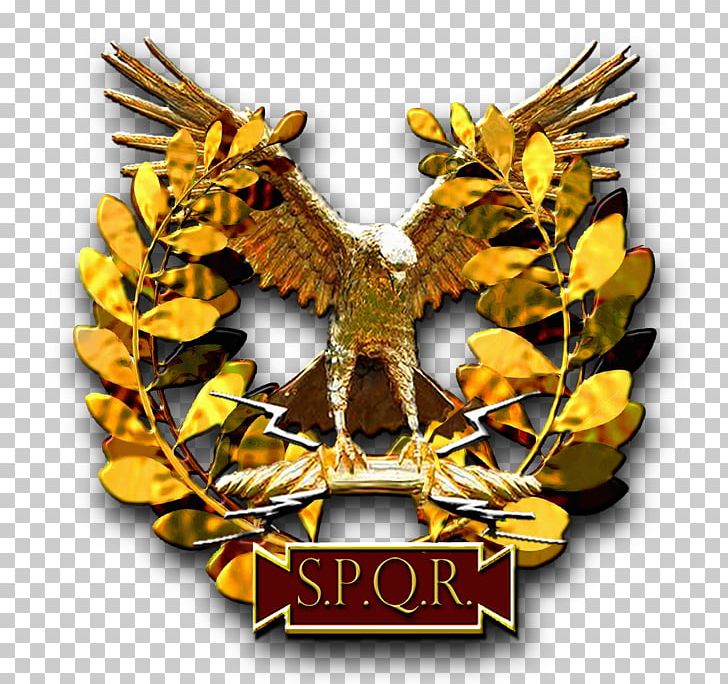 SPQR Aquila Roman Army PNG, Clipart, Antler, Aquila, Eagle Symbol, Forum, Information Free PNG Download
