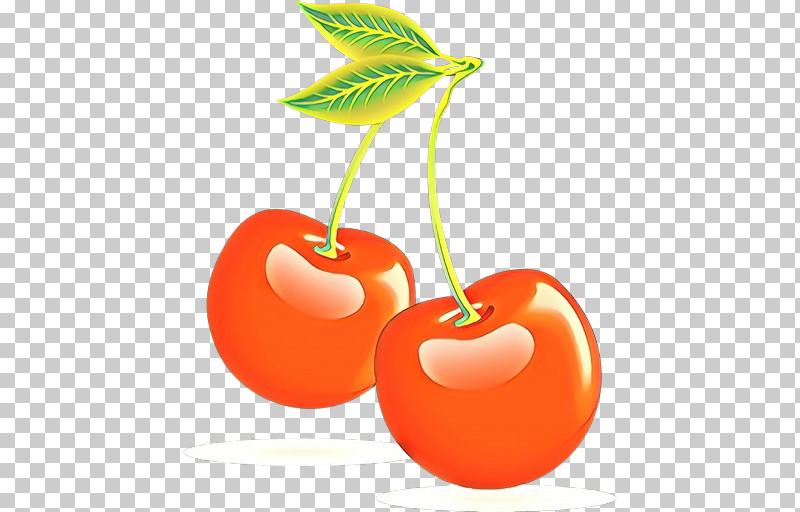 Orange PNG, Clipart, Cherry, Drupe, Food, Fruit, Leaf Free PNG Download