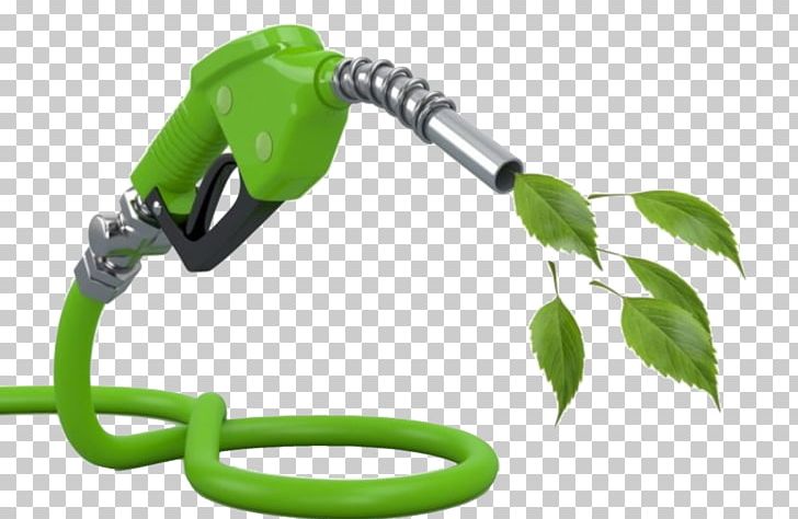 Biofuel Renewable Energy Biodiesel Energy Development PNG, Clipart, Biodiesel, Bioenergy, Biofuel, Cellulosic Ethanol, Energy Free PNG Download