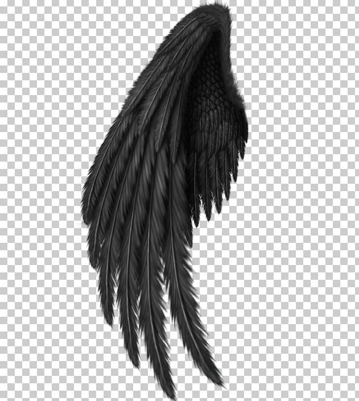 Buffalo Wing PNG, Clipart, Angel, Art, Black, Black And White, Buffalo Wing Free PNG Download