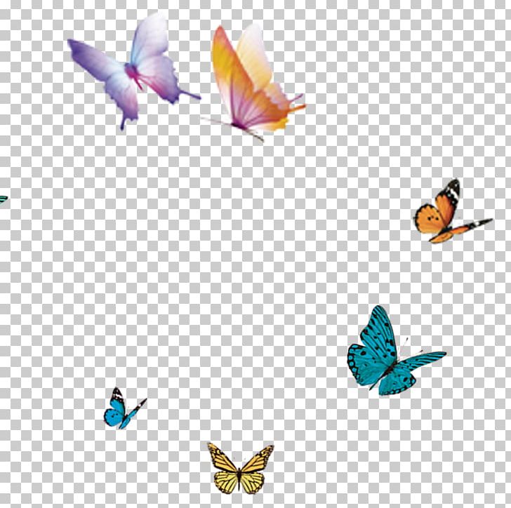 Butterfly Flight Wing PNG, Clipart, Bird, Butterflies, Butterfly Group, Cartoon, Color Free PNG Download