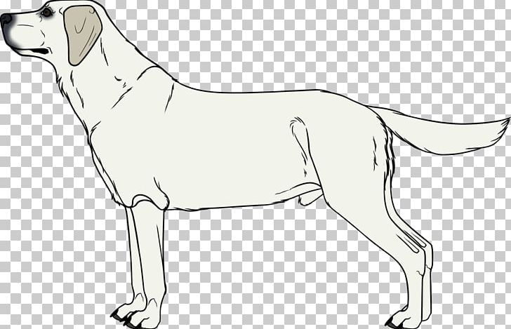 Dog Breed Puppy Sporting Group Retriever PNG, Clipart, Animals, Artwork, Black And White, Breed, Carnivoran Free PNG Download