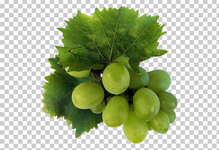 Wine Grapevines Sultana Food PNG, Clipart, Apple, Cooking Banana, Food, Fruit, Fruit Nut Free PNG Download