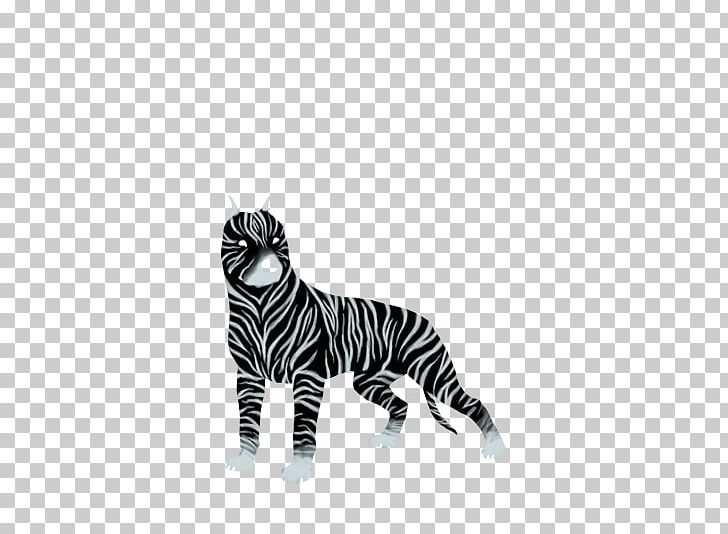 Tiger Cat Whiskers Zebra Terrestrial Animal PNG, Clipart, Agility, American, Animal, Animals, Big Cat Free PNG Download