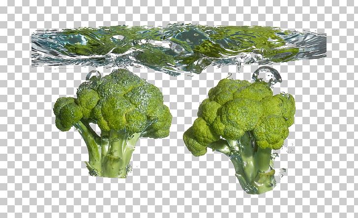Broccoli Cauliflower Food Cabbage Vegetable PNG, Clipart, Blanching, Blueberry, Brassica Oleracea, Cooking, Creative Free PNG Download