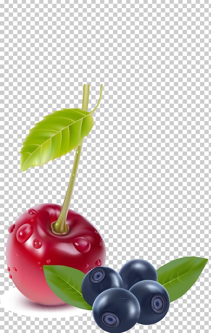 Cherry Berry Fruit PNG, Clipart, Apple Fruit, Auglis, Berry, Blueberry, Blueberry Vector Free PNG Download