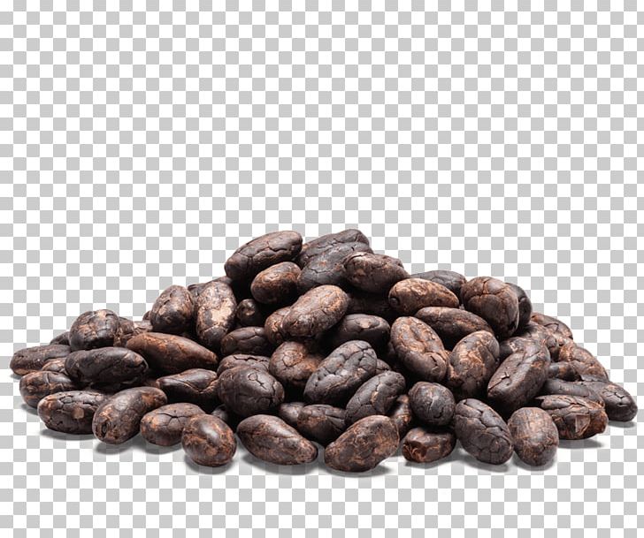 Cocoa Bean Hot Chocolate Ingredient Tea PNG, Clipart, Bean, Beans, Caffeine, Candy, Chocolate Free PNG Download