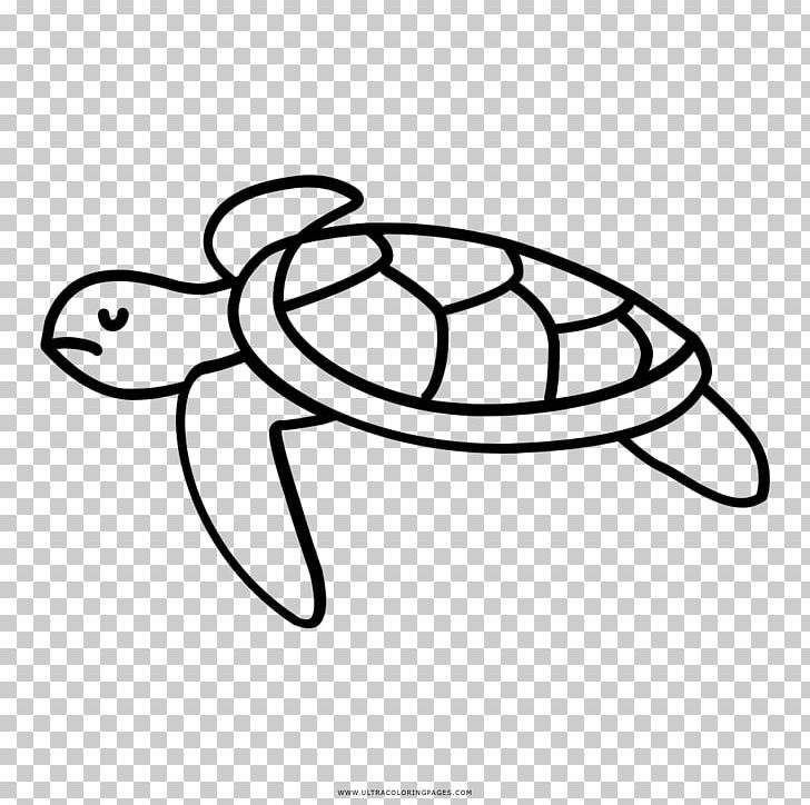 Turtle Drawing Cheloniidae Animal PNG, Clipart, Animal, Animals, Aquatic Animal, Area, Artwork Free PNG Download