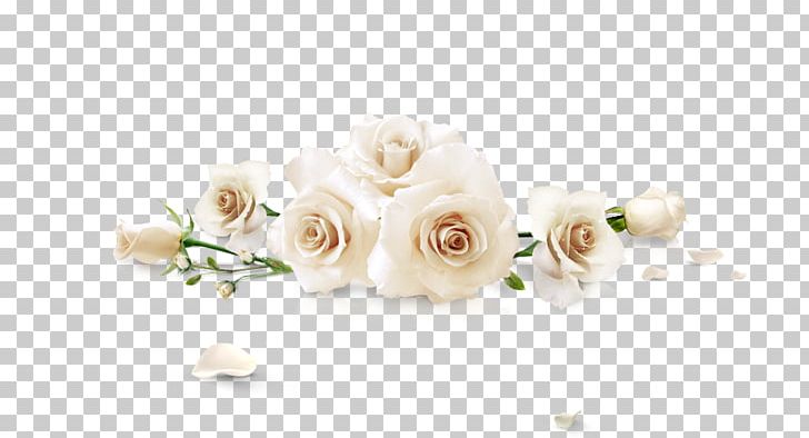 Beach Rose White Flower PNG, Clipart, Background White, Black White, Cut Flowers, Floral Design, Flower Free PNG Download