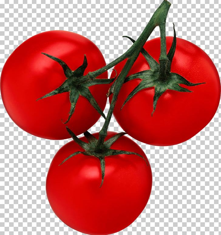 Tomato Juice Cherry Tomato Salsa PNG, Clipart, Apple, Beans, Brochure, Bush Tomato, Data Free PNG Download