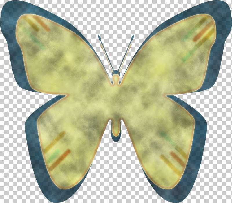 Brush-footed Butterflies Pieridae Moth Symmetry PNG, Clipart, Brushfooted Butterflies, Moth, Pieridae, Symmetry Free PNG Download