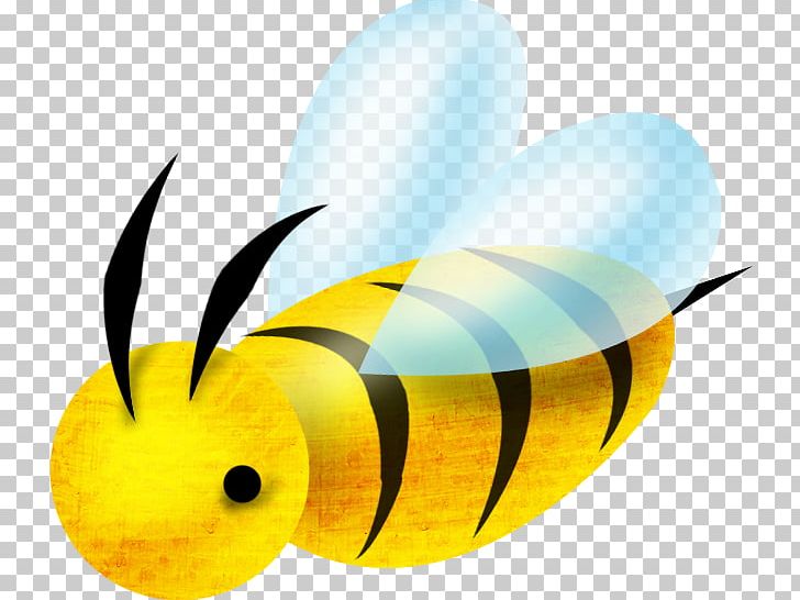 Bee Drawing PNG, Clipart, Bee, Butterfly, Cartoon, Computer Wallpaper, Desktop Wallpaper Free PNG Download
