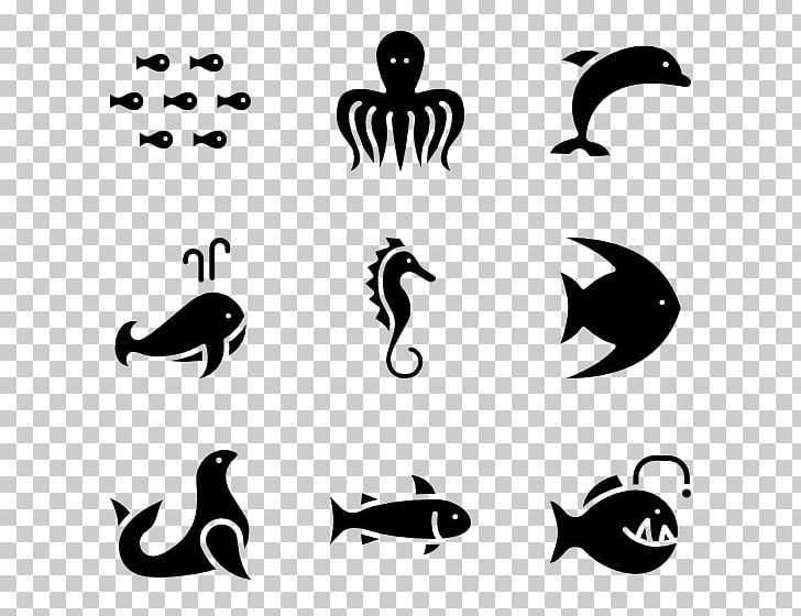Computer Icons Marine Life Animal PNG, Clipart, Animal, Aquatic Animal, Beak, Bird, Black Free PNG Download
