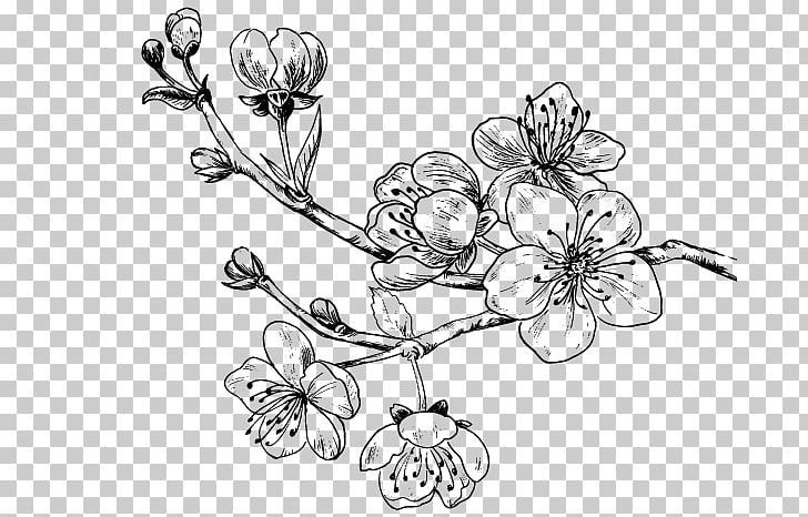 Drawing Cherry Blossom Sweet Cherry PNG, Clipart, Artwork, Black And White, Blossom, Body Jewelry, Branch Free PNG Download