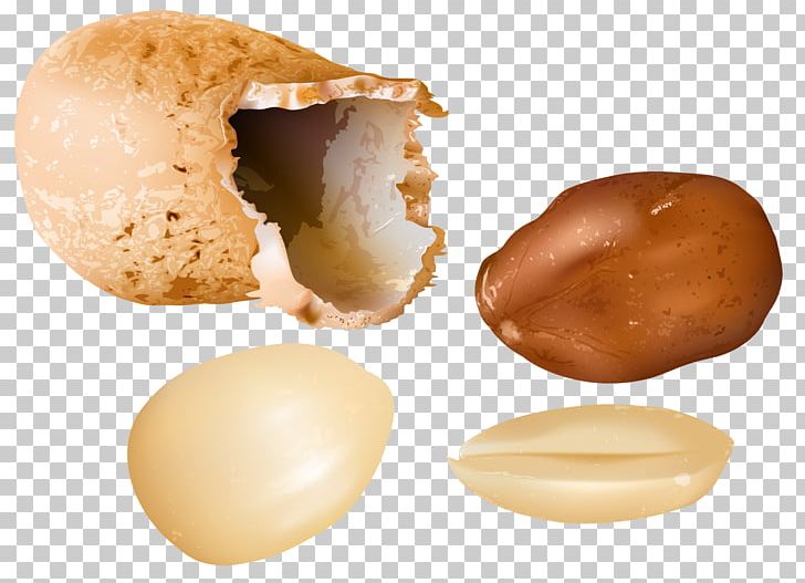 Peanut PNG, Clipart, Animals, Computer Icons, Encapsulated Postscript, Food, Ingredient Free PNG Download