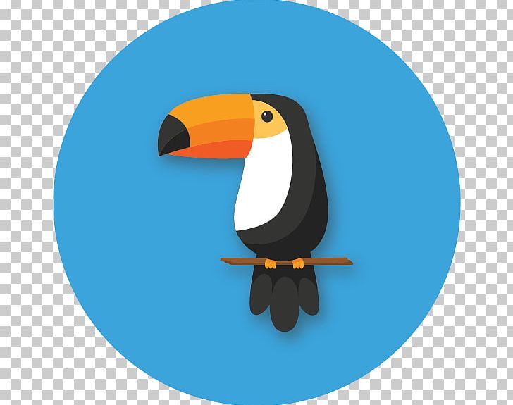 Penguin Birdwatching Travel Camping PNG, Clipart, Adventure, Adventure Travel, Beak, Bird, Bird Watching Free PNG Download