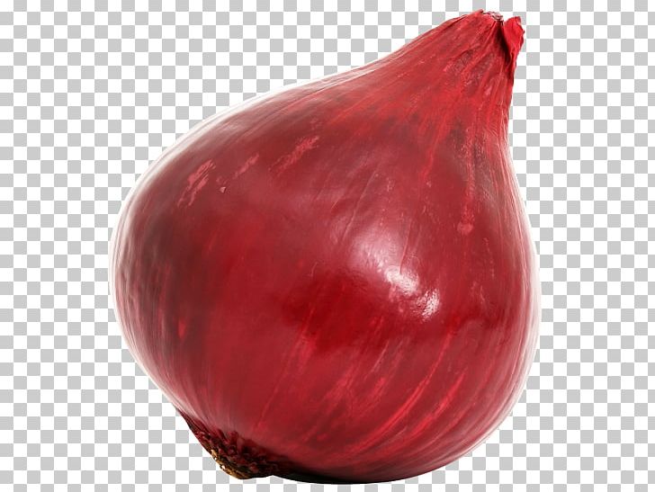 Red Onion Vegetable PNG, Clipart, Clip Art, Computer Icons, Download, Encapsulated Postscript, Green Bell Pepper Free PNG Download