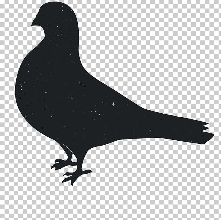 Silhouette Animal Columbidae PNG, Clipart, 3d Animation, Animal, Animals, Anime Character, Anime Girl Free PNG Download