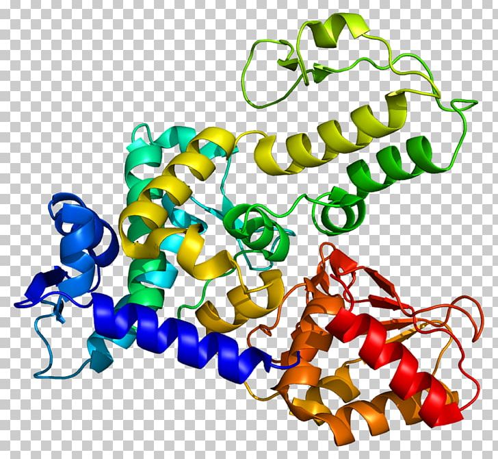 WWP1 NEDD4 Ubiquitin Ligase Protein PNG, Clipart, Area, Artwork, Attribution, Body Jewelry, Creative Commons License Free PNG Download
