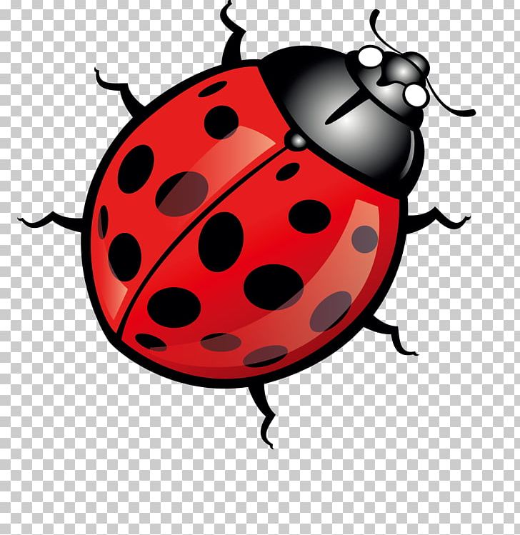 Beetle Ladybird Euclidean PNG, Clipart, Balloon Cartoon, Beetle, Boy Cartoon, Bug, Cartoon Character Free PNG Download