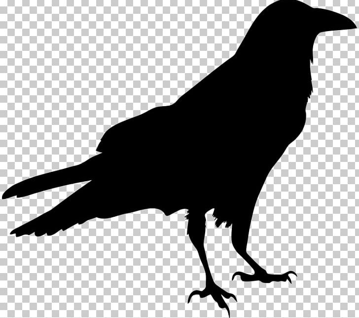 Blackbird Silhouette PNG, Clipart, American Crow, Animals, Art, Beak, Bird Free PNG Download
