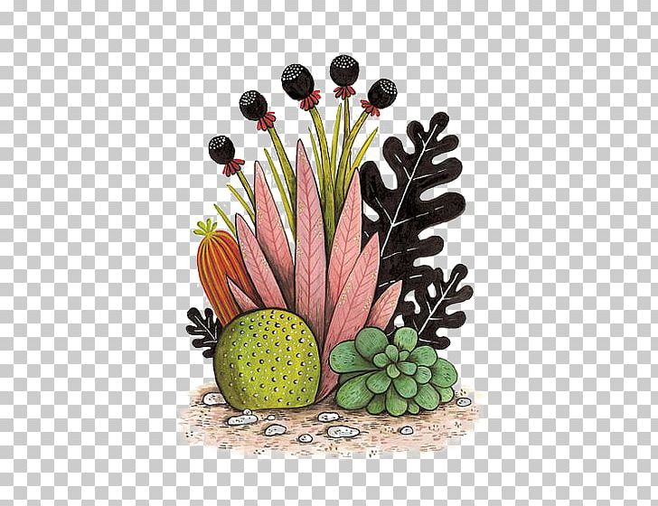 Cactaceae Drawing Art Succulent Plant PNG, Clipart, Art, Artist, Botanical Illustration, Botany, Cactaceae Free PNG Download