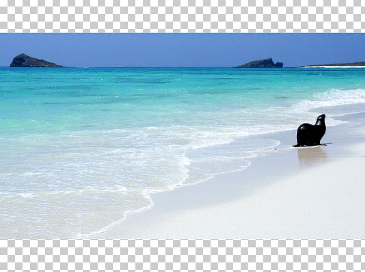 Caribbean Sea Beach Coast Ocean PNG, Clipart, Beach, Caribbean, Coast, Coastal And Oceanic Landforms, Galapagos Free PNG Download