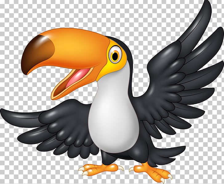 Cartoon Toucan PNG, Clipart, Beak, Bird, Cartoon, Drawing, Hornbill Free PNG Download