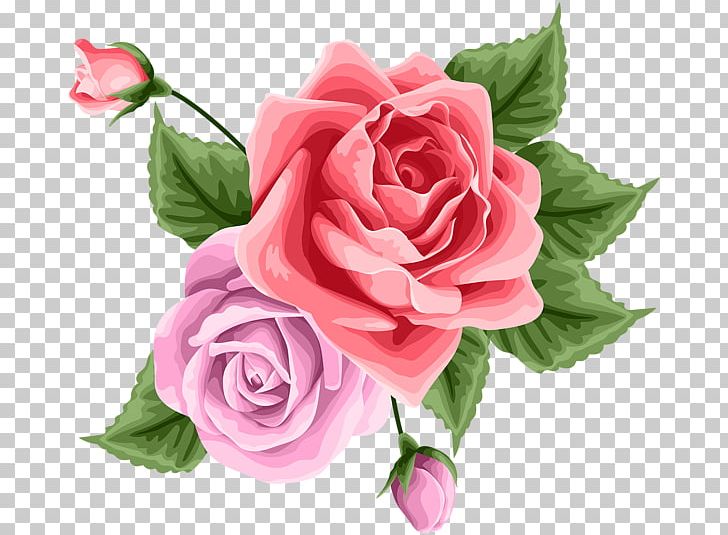 Garden Roses Cabbage Rose Floribunda Cut Flowers Floral Design PNG, Clipart, Art, Artificial Flower, Art Is, Cut Flowers, Floral Design Free PNG Download