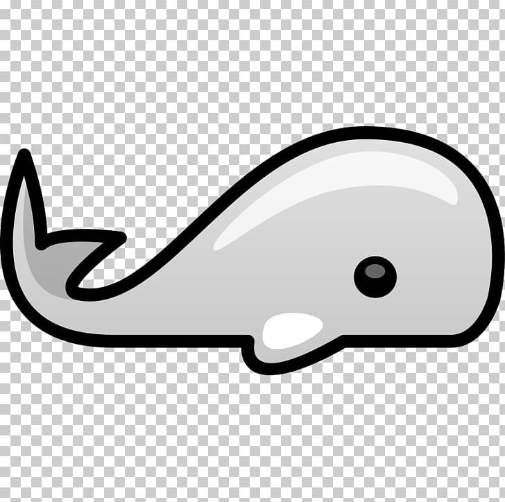 Gray Whale PNG, Clipart, Angle, Area, Black And White, Blue Whale, Drawing Free PNG Download
