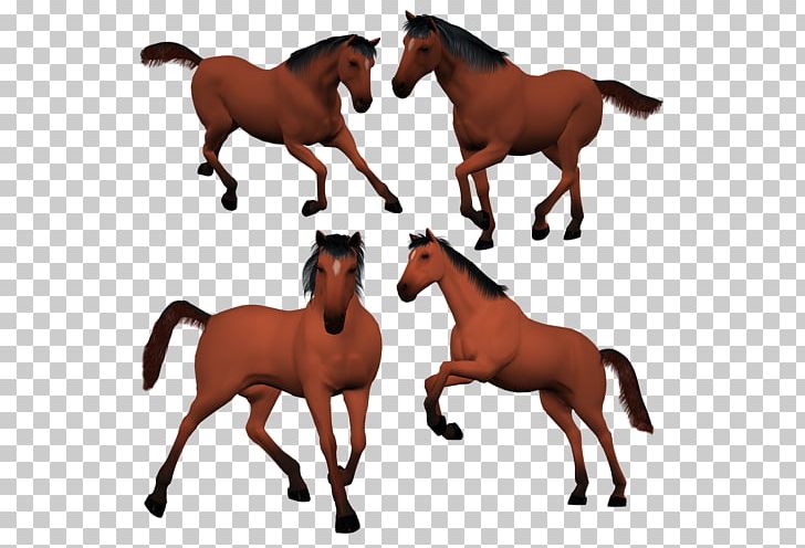 Mustang Foal Pony Stallion Mare PNG, Clipart, Animal Figure, At Resimleri, Bridle, Colt, English Riding Free PNG Download