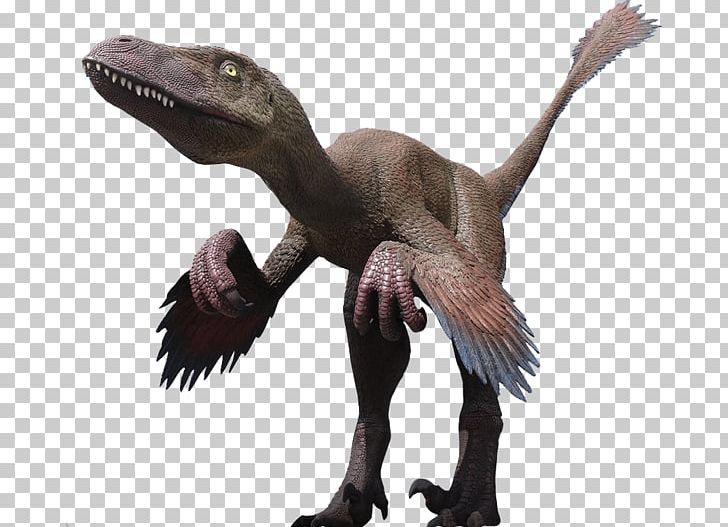 Velociraptor Deinonychus Utahraptor Tyrannosaurus Dinosaur PNG, Clipart, Carnivore, Claw, Coelurosauria, Cretaceous, Deinonychus Free PNG Download