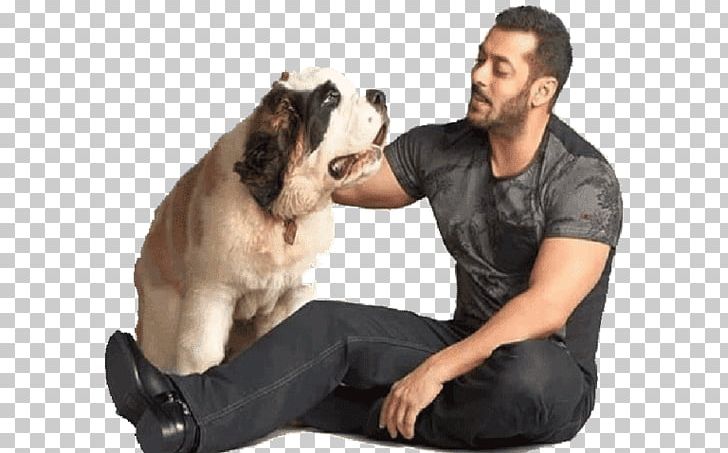Being Human Foundation India Actor Bollywood Film Producer PNG, Clipart, Actor, Being Human Foundation, Bollywood, Dog, Dog Breed Free PNG Download