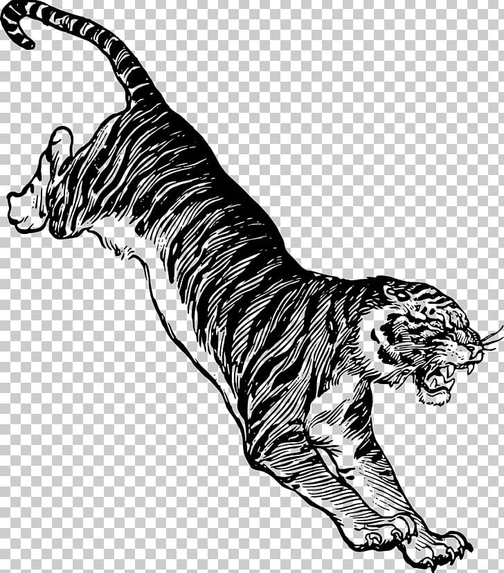 Cat Siberian Tiger PNG, Clipart, Animal, Animal Figure, Animals, Art, Big Cat Free PNG Download