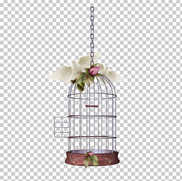 Birdcage Birdcage Portable Network Graphics Owl PNG, Clipart, Bird, Birdcage, Bird Of Prey, Cage, Christmas Ornament Free PNG Download