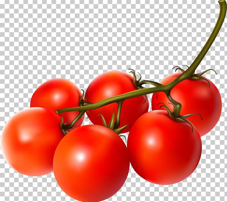 Cherry Tomato Vegetable Fruit PNG, Clipart, Bell Pepper, Cherry, Cuisine, Food, Fruit Free PNG Download