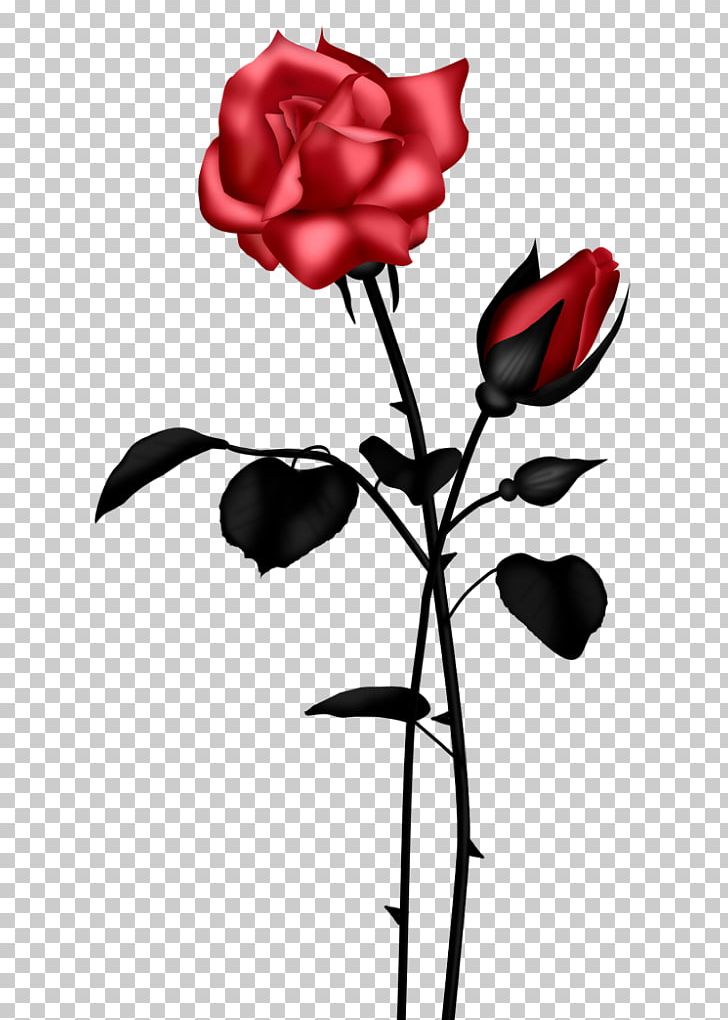 Garden Roses Floral Design Cut Flowers PNG, Clipart, Bud, Cut Flowers, Flora, Floral Design, Floristry Free PNG Download