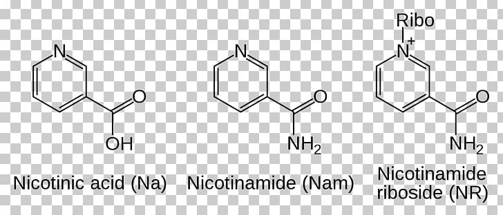 Nicotinamide Adenine Dinucleotide Nicotinamide Riboside PNG, Clipart, Angle, Auto Part, Hand, Logo, Material Free PNG Download
