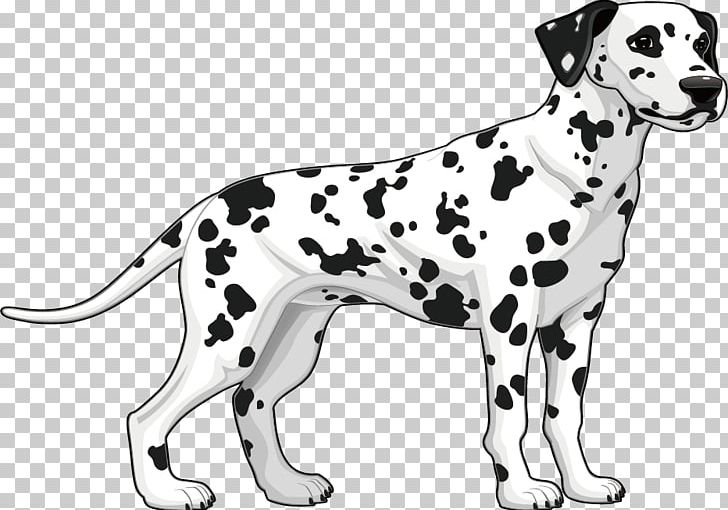 Dalmatian Dog Dog Breed Illustration PNG, Clipart, Animal Figure, Animals, Carnivoran, Companion Dog, Dalmatians Free PNG Download