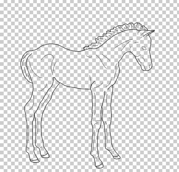 Foal Pony Line Art Colt PNG, Clipart, Anim, Arm, Art, Artist, Artwork Free PNG Download